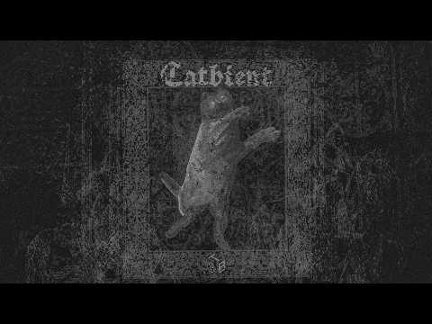 🐈‍⬛ Tomasz Bednarczyk - Catbient 2026 Part 1 (2026) Full Album