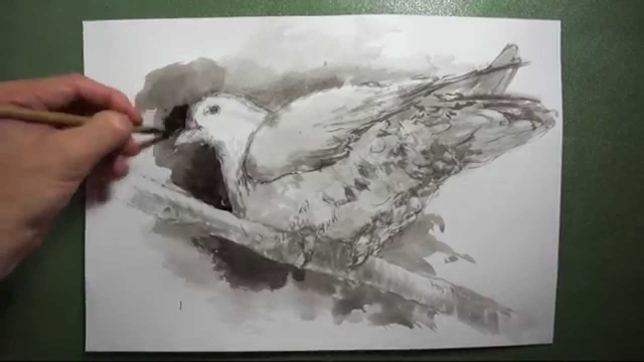 筆のイラスト描き方 絵の上達法を実演解説 アオバト White Bellied Green Pigeon Youtube