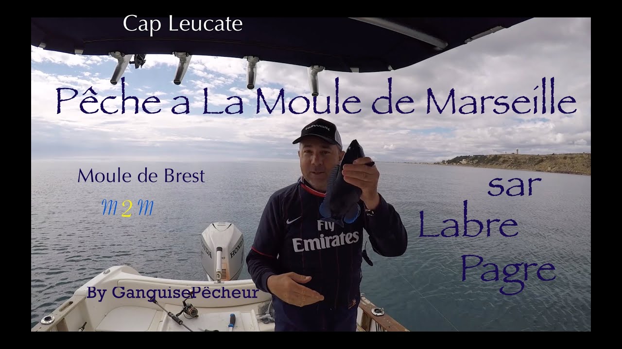 Peche A La Moule De Marseille Youtube