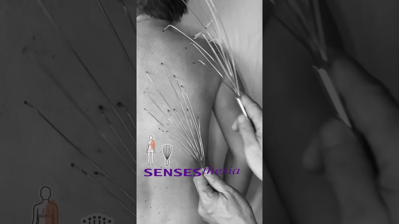 How2Touch_06 Amazing Back Scratcher - Fast Strokes