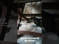когда ты в душе футболист