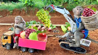 Smart Bim Bim Became An Excavator Driver To Repair Roads And Harvest Fruits