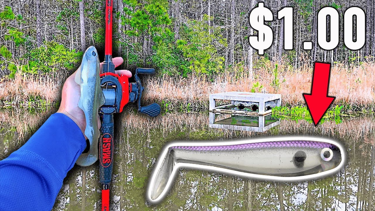  BIG Swimbait Catches BIG BASS