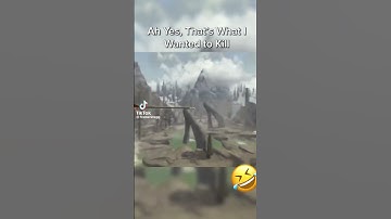 Funniest Skyrim Kill Cam