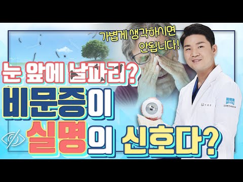   눈앞에 날파리가 둥둥 비문증 결코 가볍게 보지 마라 아이조아 13