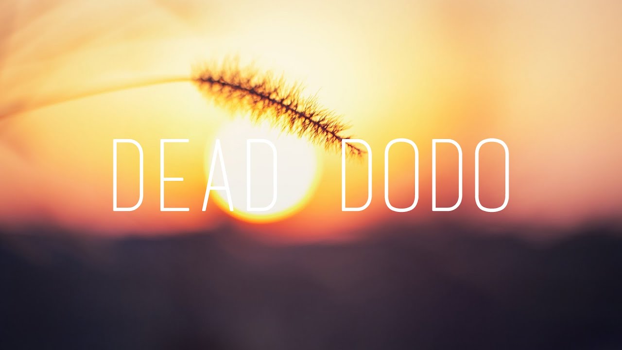 Arctic Lake - For Us