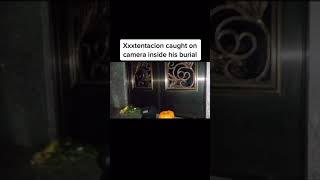 Celebrity Terrifying Things Caught On Camera Profile