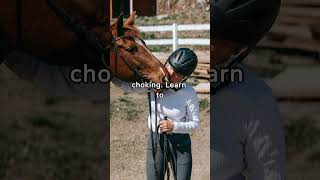 Emergency Emissaries Basic First Aid Interventions