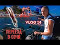 Переезд в Сочи. Влог. Братья Воробьевы. Профессиональный спорт.