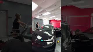 Tesla Model 3 Ceramic window tint