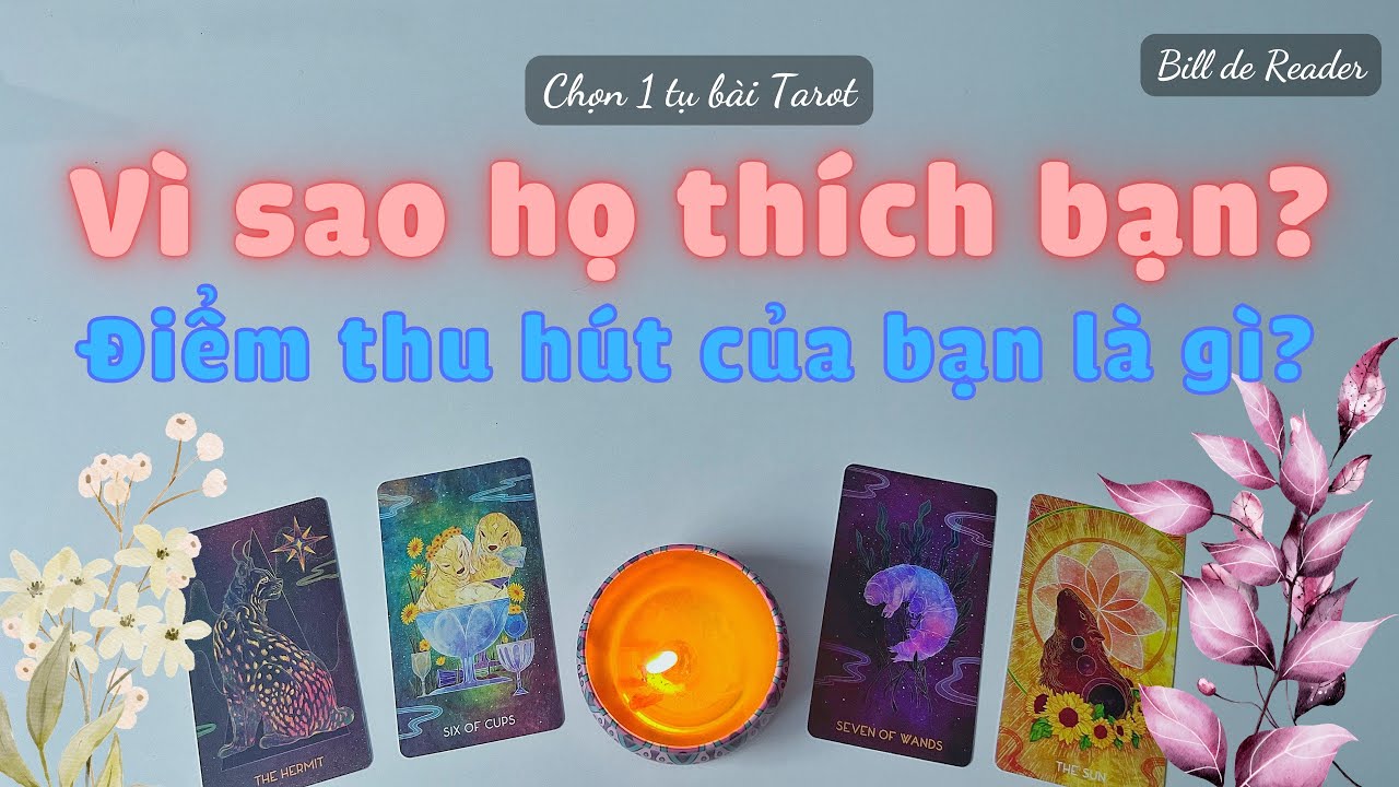 💗 VÌ SAO HỌ THÍCH BẠN? ĐIỂM GÌ Ở BẠN THU HÚT HỌ NHIỀU NHẤT? 🔮 - Chọn 1 tụ bài Tarot Tình Cảm