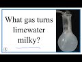 Lime Water and Carbon Dioxide