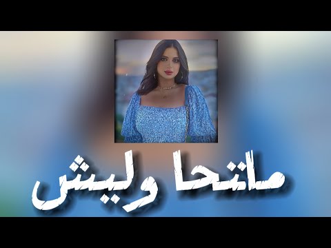 متحاوليش ميس دعاء كلمات الأغنية   