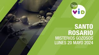 Santo Rosario de hoy Lunes 20 Mayo de 2024  Misterios Gozosos #TeleVID #SantoRosario