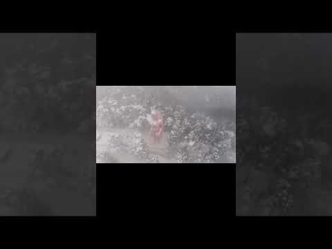 Jaihanuman Himachal Shimla JakhuMandir 2022