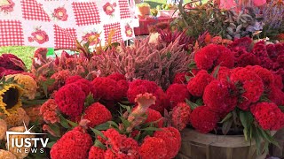 Take a trip to farmers' markets in and around Bloomington | IUSTV News