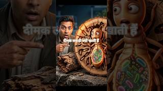 दीमक लकड़ी क्यों खाती है? |Termite Science Explained in Hindi | लकड़ी में दीमक क्यों लगती है#shorts