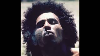 Bob Marley & The Sons Of Jah - Wounded Lion (Upgraded Mix)