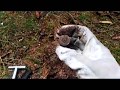 Sondeln Metaldetecting WW2 reste, und dann ein Mega Hammer Abschluss