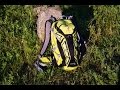 Рюкзак Deuter attack enduro 16 L (обзор)