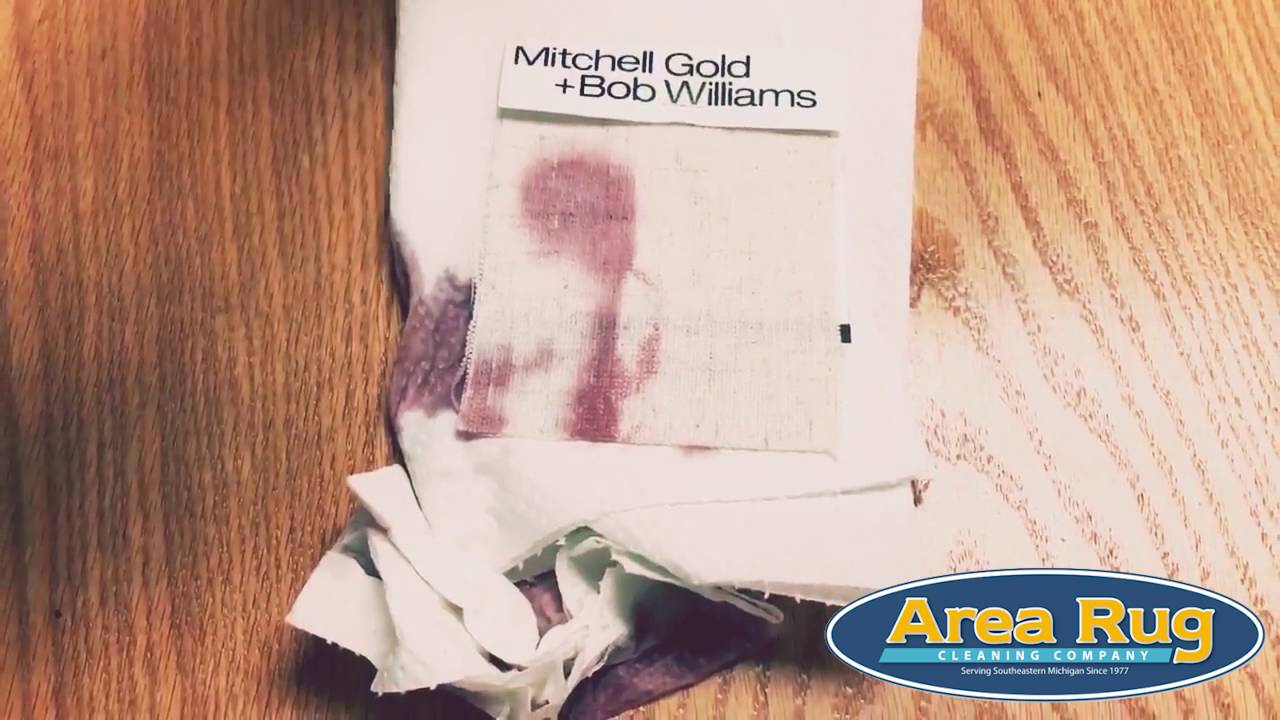 Area Rug Cleaning Co Fiber ProTector saves the day!