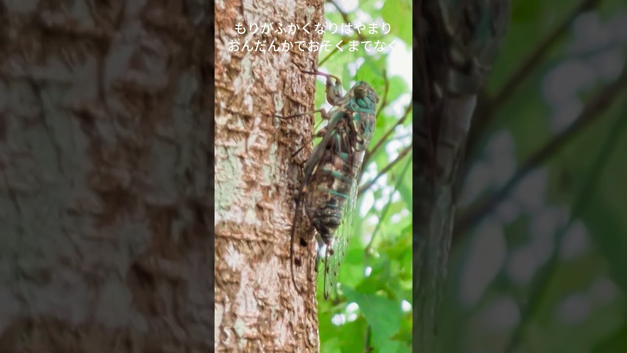 おいしいからあげないよ💢(文字つき)