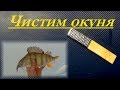 Как  почистить окуня от чешуи. Приспособление своими руками.Изготовление и тест.