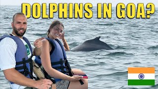 Are there really Dolphins in GOA? 🇮🇳