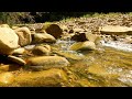 Gentle sounds of a stream without birds singing. 12 Hours of 4K video.