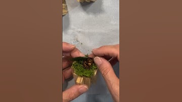 DIY Rustic Jenga Block Pumpkins DOLLAR TREE #diy #craftideas #craft #dollartree #pumpkins