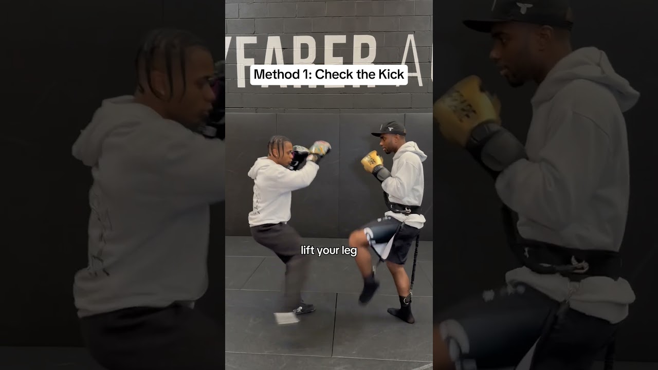 3 ways to defend a leg kick 