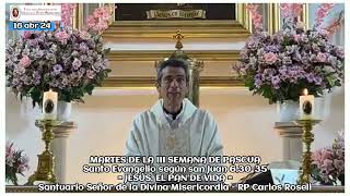 EVANGELIO Y HOMILÍA – P. CARLOS ROSELL, PÁRROCO
