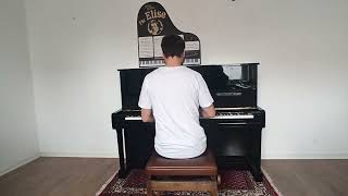 Für Elise For Elise Ludwig van Beethoven Played by Jordan Toms Backview version 2