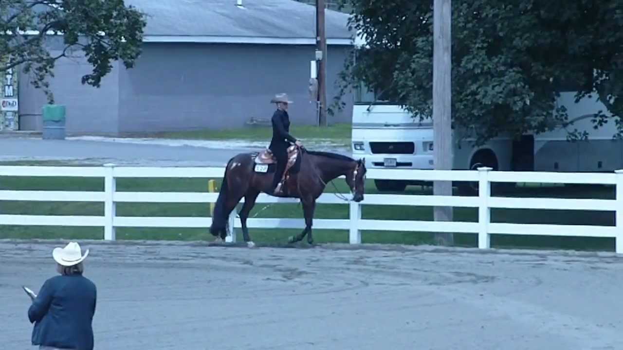 2012_08_19 Grace's Junior Western Pleasure (Branchville)