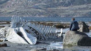 Ученые нашли останки кита, и то, что они увидели, повергло их в шок