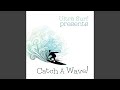Banzai Washout