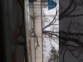 TRAIN RUNNING SPEED