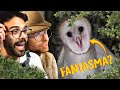 Gli animali SPAVENTOSI! | Lo Zoo di Dario e Willy (feat. ZooSparkle)