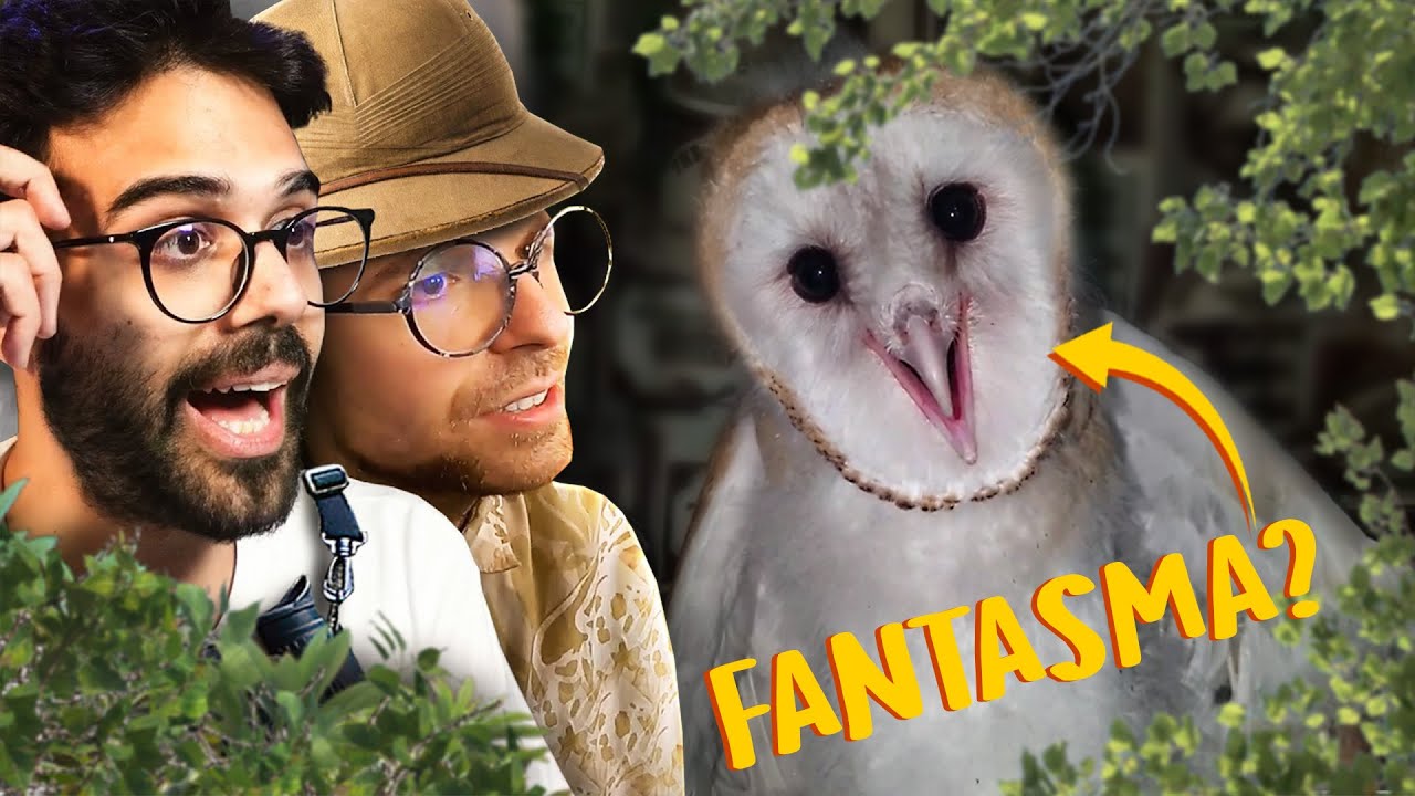 Gli animali SPAVENTOSI! | Lo Zoo di Dario e Willy (feat. ZooSparkle)