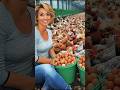 Large-Scale Egg Farming and Poultry Production