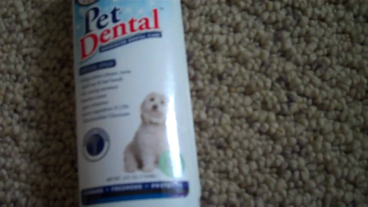 Four Paws Pet Dental Advanced Dental Care Spray Review YouTube
