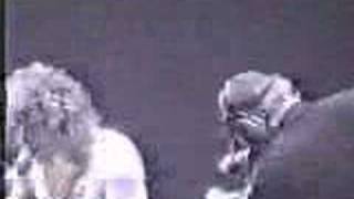 Van Halenhow Many Says I