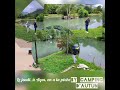Ref:ytGSs6OFM1c Camping du val d'autun : vid�o activit�s aux alentours : la p�che