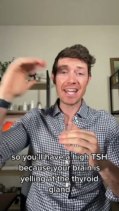TSH, T4, and T4: What Every Thyroid Patient Must Know