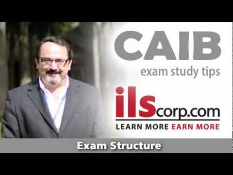 CAIB Exam Study Tips: Exam Structure