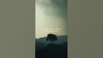 اذكر الله | سورة الزخرف الآية | القارئ ياسر الدوسري #قرآن
