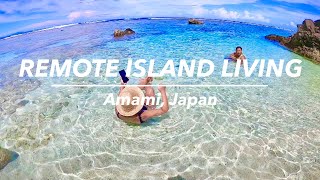 Download Lagu BETTER THAN HAWAII? Remote Island Life in Japan! | Amami MP3