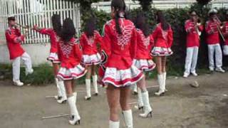 Banda56(papabadanz)