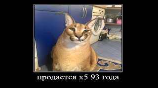 продается x5 93 года