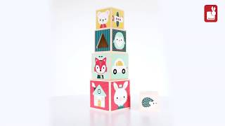 Janod Baby Forest 6 Block Pyramid Set